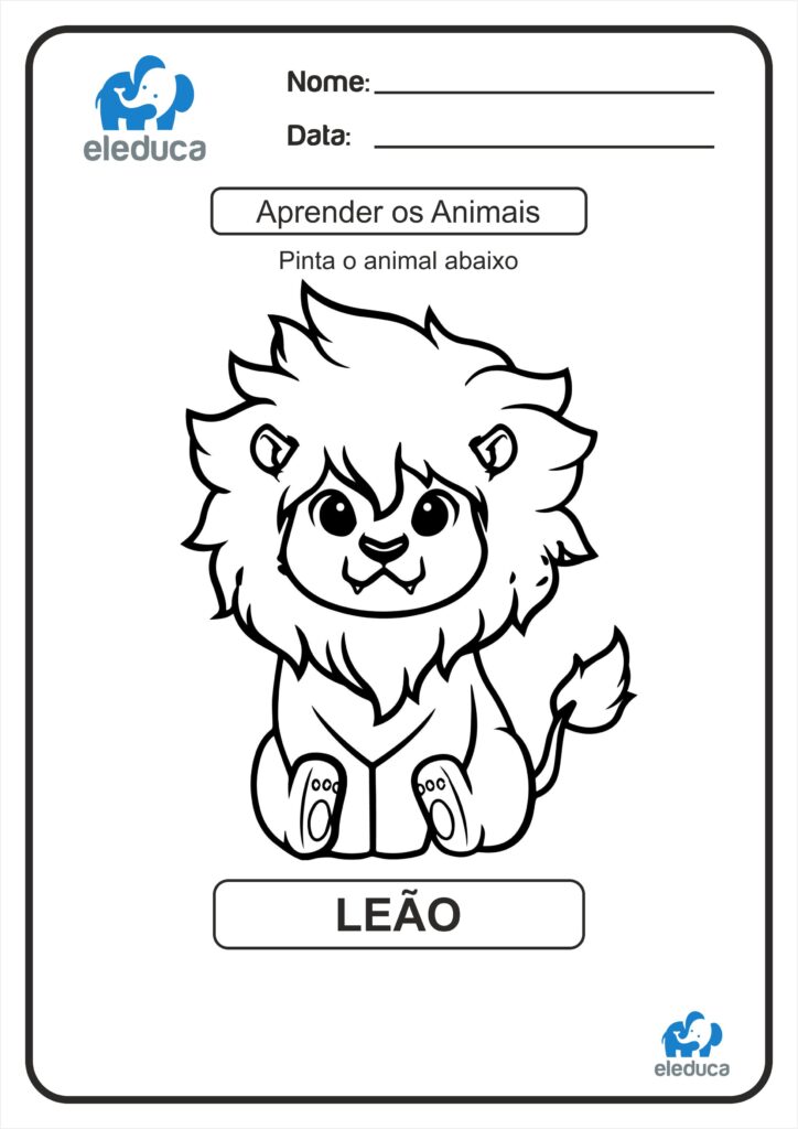 Pintar os Animais